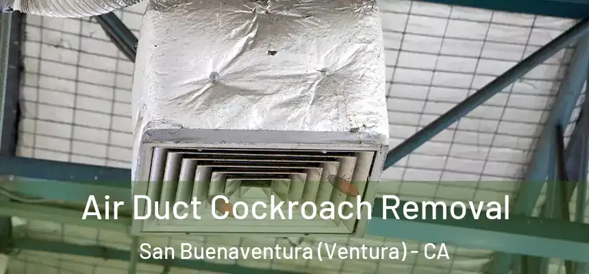 Air Duct Cockroach Removal San Buenaventura (Ventura) - CA