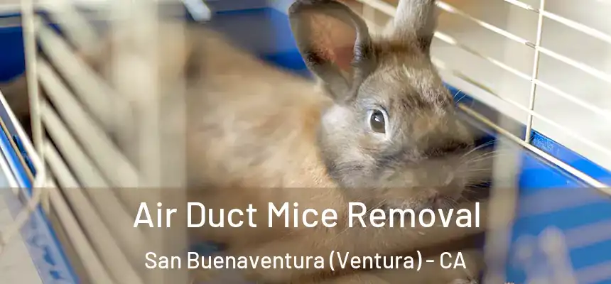 Air Duct Mice Removal San Buenaventura (Ventura) - CA
