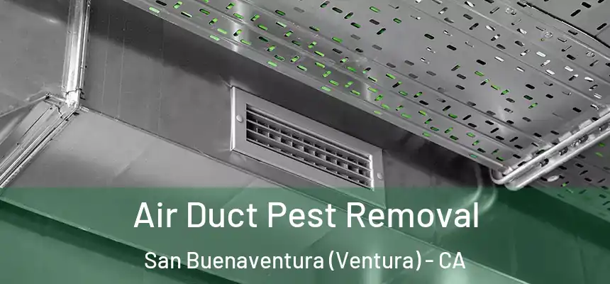 Air Duct Pest Removal San Buenaventura (Ventura) - CA