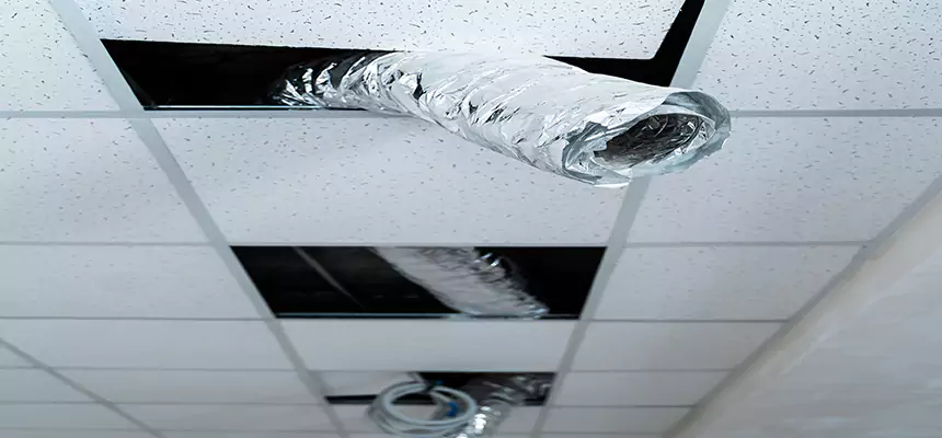 Our Air Duct Pet Hair Removal Services in San Buenaventura (Ventura), CA