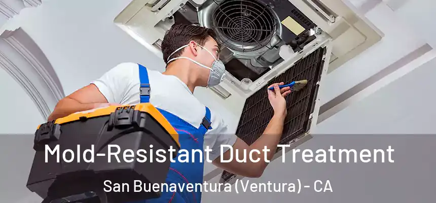  Mold-Resistant Duct Treatment San Buenaventura (Ventura) - CA