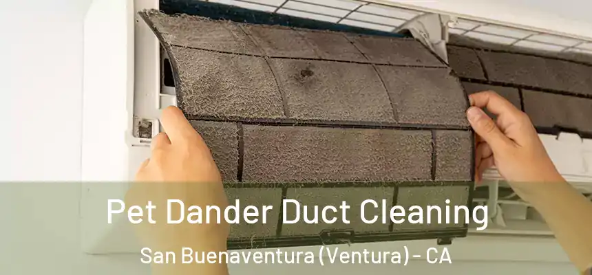  Pet Dander Duct Cleaning San Buenaventura (Ventura) - CA