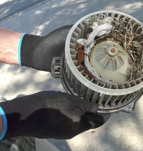 About Air Duct Mice Removal in San Buenaventura (Ventura), CA