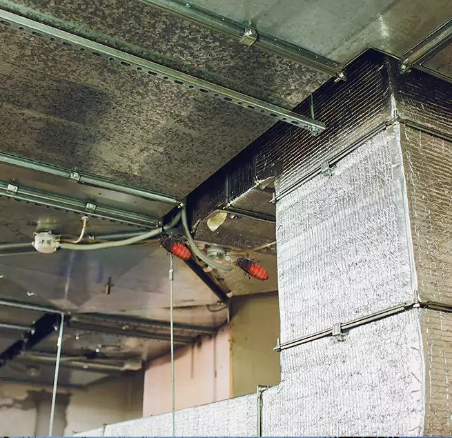 Why Homeowners & Businesses Trust Us in San Buenaventura (Ventura), CA?