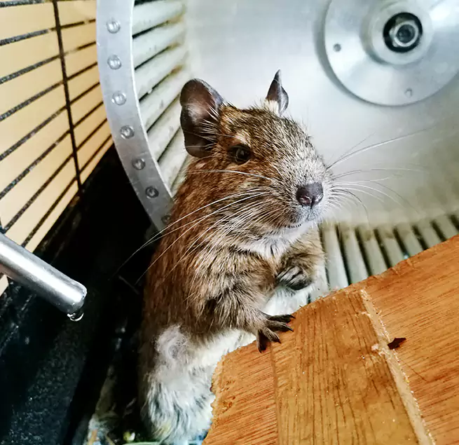 Why Homeowners & Businesses Trust Us San Buenaventura (Ventura), CA